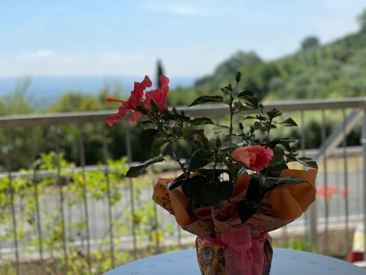 A Casa Di Silvia Apartment Gambassi Terme Luaran gambar