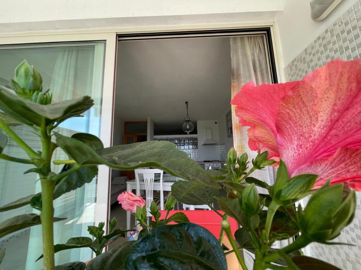 A Casa Di Silvia Apartment Gambassi Terme Luaran gambar